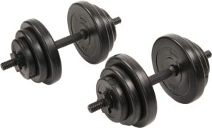 Sunny Health & Fitness Vinyl 40 Lb Dumbbell Set